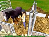 Paws and Claws: Pet Vet (PC) Steam Key GLOBAL
