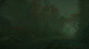 Get The Cursed Forest