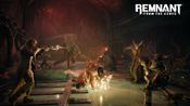 Get Remnant: From the Ashes PlayStation 4