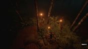 Congo for sale