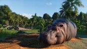 Planet Zoo Steam Key LATAM for sale