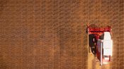 Real Farm (PC) Steam Key UNITED STATES for sale