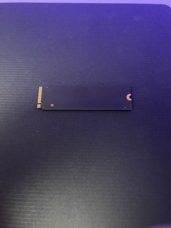 western digital 256 gb NVMe