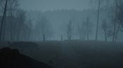 Dead forest for sale