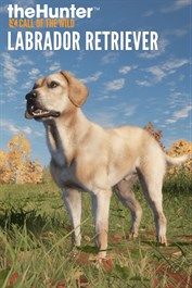 theHunter Call of the Wild Labrador Retriever (DLC) Steam (PC) Key EUROPE