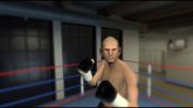 Buy The Thrill of the Fight - VR Boxing