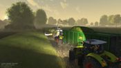 Cattle and Crops