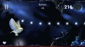 Buy Owl's Midnight Journey
