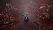 Buy Silent Hill f: Day One Edition PlayStation 5