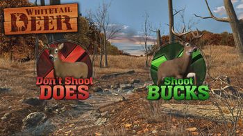 Redeem Big Buck Hunter Arcade Nintendo Switch