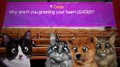 Redeem Super Web Kittens: Act I