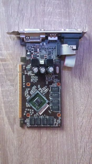 Asus GeForce GT 610 1 GB 810 Mhz PCIe x16 GPU