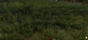 Buy Serious Metal Detecting