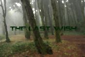The Last Wish