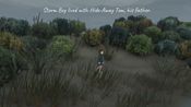 Storm Boy (Xbox One) Xbox Live Key UNITED STATES