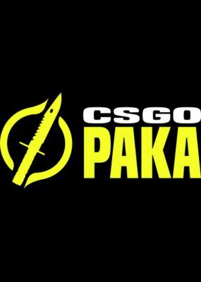 CSGOPaka Wallet Card 10 PLN Key GLOBAL