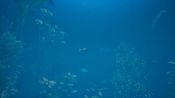 Buy Bassmaster Fishing 2022: Lake Hartwell (DLC) (PC) Steam Key GLOBAL