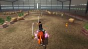 Riding Club Championships