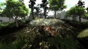Untamed: Life Of A Cougar