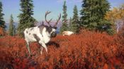 theHunter: Call of the Wild™ - Hunting Reserves Bundle (DLC) XBOX LIVE Key UNITED STATES