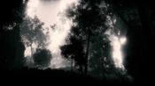 Redeem DYSTOA