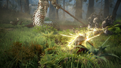 Black Desert: Standard Edition (Xbox Series X|S) XBOX LIVE Key EUROPE for sale