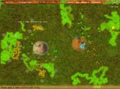 Colony