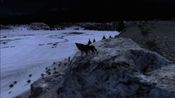 WolfQuest for sale