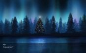 Winter Cold for sale