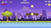 Panda Hero Nintendo Switch