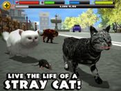 Redeem Stray Cat Simulator