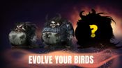 Angry Birds Evolution for sale
