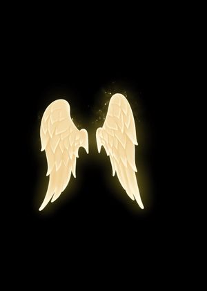 Fortnite - Wings of Light Back Bling (DLC) Epic Games Key GLOBAL