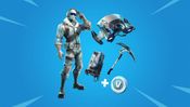 Fortnite: Deep Freeze Bundle + 1000 V-Bucks Epic Games Clé GLOBAL