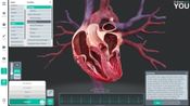 Sharecare YOU Steam Key GLOBAL for sale
