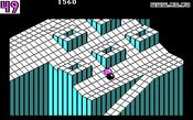 Buy Marble Madness SEGA Master System