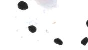 Buy Guppy (PC) Steam Key EUROPE