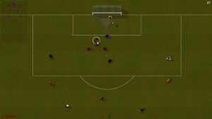 Natural Soccer