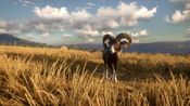 theHunter: Call of the Wild - Cuatro Colinas Game Reserve (DLC) (PC) Steam Key GLOBAL