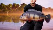 Fishing Sim World: Pro Tour - Laguna Iquitos (DLC) (PC) Steam Key GLOBAL
