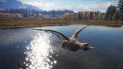theHunter: Call of the Wild - Duck and Cover Pack (DLC) (PC) Steam Key GLOBAL