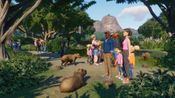 Get Planet Zoo: Wetlands Animal Pack (DLC) (PC) Steam Key GLOBAL