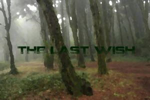 The Last Wish