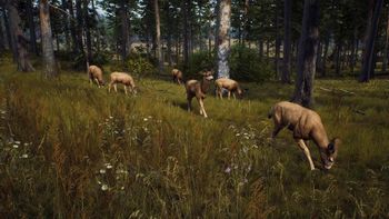 Way of the Hunter PlayStation 5 for sale