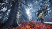 Discovery Tour: Viking Age XBOX LIVE Key TURKEY