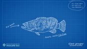 Ultimate Fishing Simulator - Thailand (DLC) (PC)  Steam Key GLOBAL