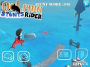Dolphin Stunt Rider