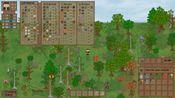 Buy Lost In Woods 2