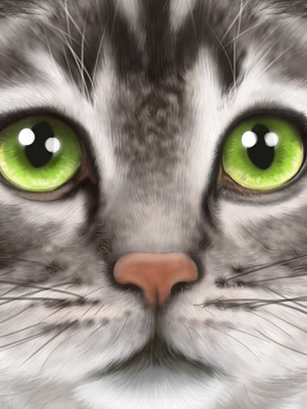 Get Ultimate Cat Simulator APK for free