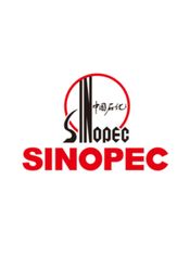 Sinopec Fuel Card 500 CNY Key CHINA